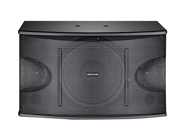 无源音箱  TY-100