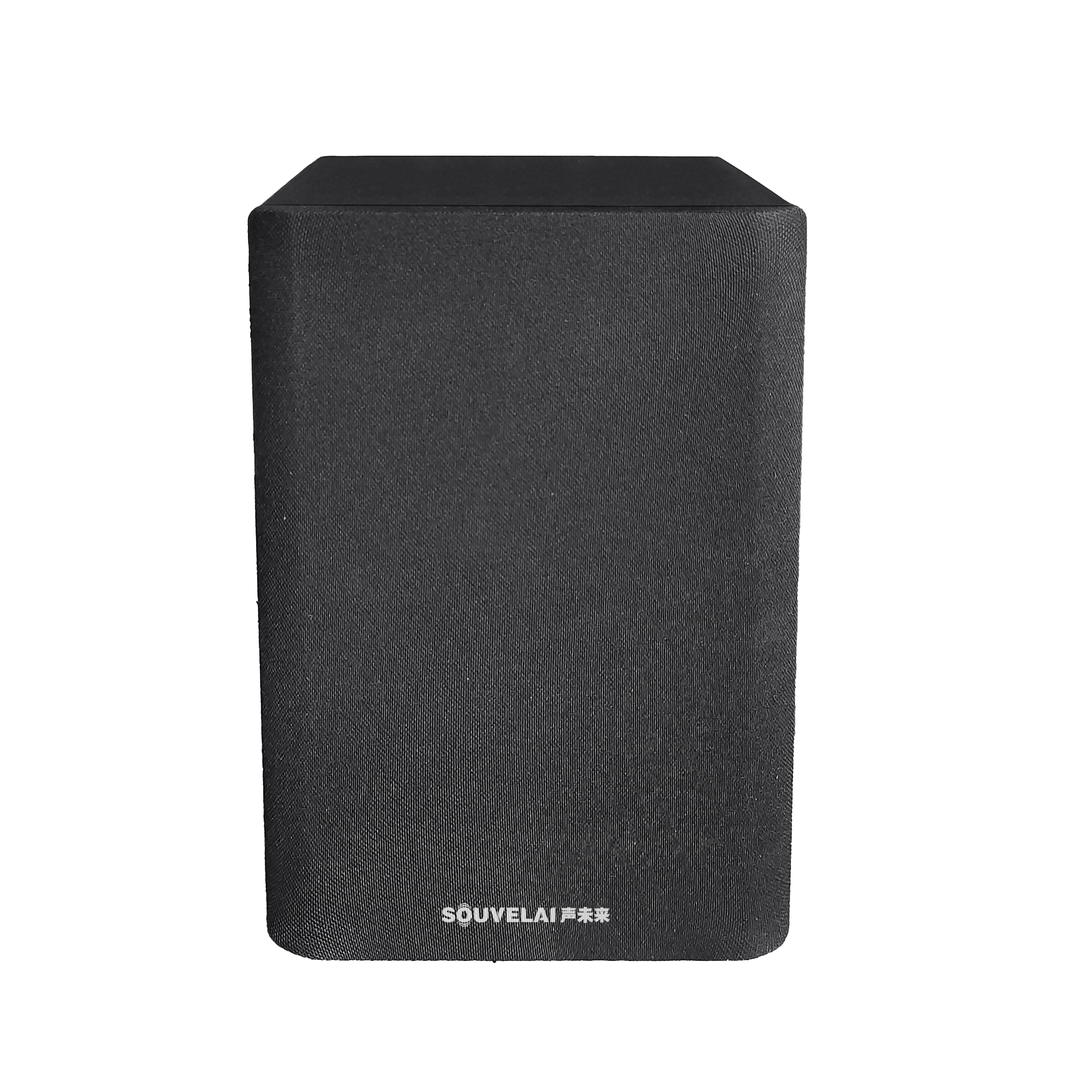 网络壁挂音箱（30W）RT-530